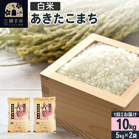 【ふるさと納税】【白米】令和5年産 横手市産 あきたこまち 10kg(5kg×2袋)