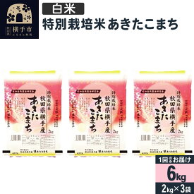 【ふるさと納税】【白米】令和5年産 特別栽培米あきたこまち 6kg(2kg×3袋)