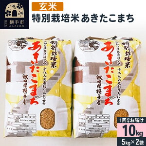 yӂ邳Ɣ[Łzyāzߘa7NY ʍ͔| ܂ 10kgi5kg×2܁j