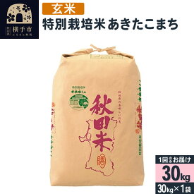 【ふるさと納税】【玄米】令和5年産 特別栽培米あきたこまち（2等米） 30kg