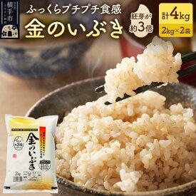 【ふるさと納税】【玄米】米 金のいぶき 4kg(2kg×2袋) 令和7年産 [秋田県産 横手市 金のいぶき 玄米 プレミアム玄米 発芽玄米 米 お米 ご飯 ごはん 国産 栄養 健康 小分け]
