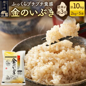 【ふるさと納税】【玄米】令和7年産 金のいぶき 10kg（2kg×5袋） [秋田県産 金のいぶき 玄米 プレミアム玄米 10キロ]