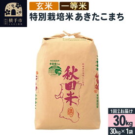 【ふるさと納税】【玄米】令和7年産 特別栽培米あきたこまち（一等米） 30kg [秋田県産 あきたこまち 玄米 特別栽培米 30キロ 令和7年産 秋田こまち 一等米]