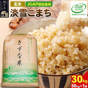 yӂ邳Ɣ[Łzyāzߘa7NY HcY WႱ܂ 30kg(30kg×1) yJGAPF؁zyHcʍ͔|_YF؁z