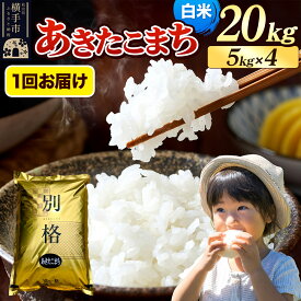 【ふるさと納税】《令和7年産》 米 あきたこまち 20kg（5kg×4袋） 【白米】 秋田県産