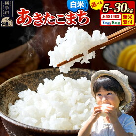 【ふるさと納税】《令和7年産》《選べる容量×お届け回数》 米 あきたこまち 5kg・10kg（5kg小分け袋） 【白米】 秋田県産