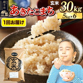 【ふるさと納税】《令和7年産》 米 あきたこまち 30kg（5kg×6袋） 【玄米】 秋田県産 [米 コメ 玄米 あきたこまち おいしい 美味しい]