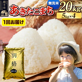 【ふるさと納税】《令和7年産》 米 あきたこまち 20kg（5kg×4袋） 【無洗米】 秋田県産