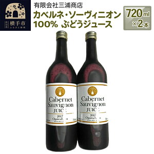 yӂ邳Ɣ[ŁzJ׃lE\[BjI100@ԂǂW[X@720ml×2{