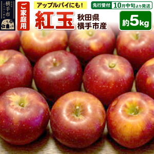 yӂ邳Ɣ[Łzystz10{蔭 AbvpC^gɂIsY(g) ƒp 5kg