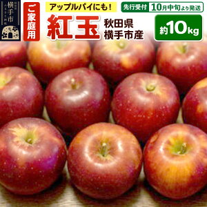yӂ邳Ɣ[Łzystz10{蔭 AbvpC^gɂIsY(g) ƒp 10kg