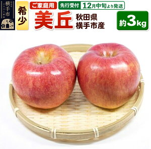yӂ邳Ɣ[Łzystz12{蔭 󏭕iIǏnł{IsY(u) ƒp 3kg