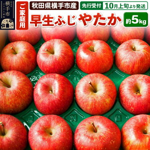 yӂ邳Ɣ[Łzystz10{蔭 scY ӂE₽ ƒp 5kg