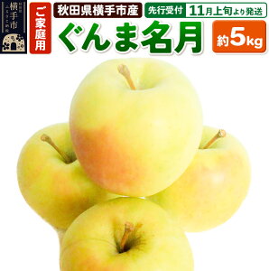 yӂ邳Ɣ[Łzystz11{蔭 󏭕iIHcY  ܖ ƒp 5kg