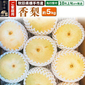 yӂ邳Ɣ[Łzystz10{蔭 scY  ƒp 5kg