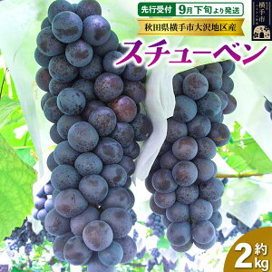 yӂ邳Ɣ[Łzystz9{蔭 ZÂȊn snY Ԃǂ X`[x 2kg