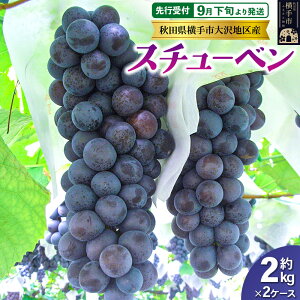 yӂ邳Ɣ[Łzystz9{蔭 ZÂȊn snY Ԃǂ X`[x 2kg×2P[X