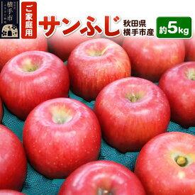 【ふるさと納税】12月上旬より発送 秋田県横手産 りんご サンふじ ご家庭用 約5kg