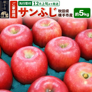 yӂ邳Ɣ[Łzystz12{蔭 HcY  Tӂ ƒp 5kg