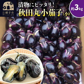 【ふるさと納税】秋田丸小茄子（小）3kg 箱詰 [先行予約 ナス なす 茄子 野菜 秋田県 横手市]