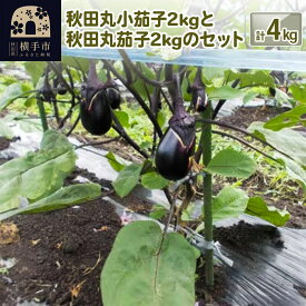 【ふるさと納税】秋田丸小茄子2kgと秋田丸茄子2kgのセット 計4kg [先行予約 ナス なす 茄子 野菜 秋田県 横手市]