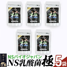 【ふるさと納税】NS乳酸菌「極」(横手市特別パッケージ) 5パック ゆうパケット