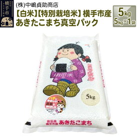 【ふるさと納税】【白米】令和5年産 秋田県横手産特別栽培米あきたこまち 真空パック 5kg(5kg×1袋)