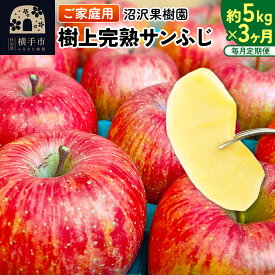 【ふるさと納税】【先行受付】12月上旬より発送 《定期便3ヶ月》樹上完熟サンふじ ご家庭用 約5kg（13〜23玉前後）×3回 計15kg 3か月 3ヵ月 3カ月 3ケ月 [先行予約 サンふじ サンフジ 林檎 リンゴ 家庭用 不揃い 定期便]