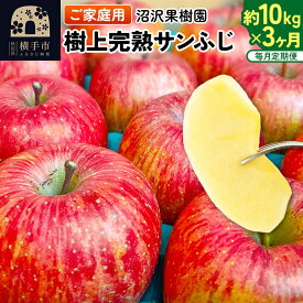 【ふるさと納税】【先行受付】12月上旬より発送 《定期便3ヶ月》樹上完熟サンふじ ご家庭用 約10kg（1回26〜46玉前後）×3回 計30kg 3か月 3ヵ月 3カ月 3ケ月 [先行予約 サンふじ サンフジ 林檎 リンゴ 家庭用 不揃い 定期便]