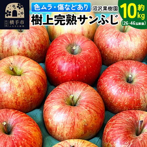 yӂ邳Ɣ[ŁzyFELYz㊮nTtW 10kgi26`46ʑOj