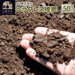 yӂ邳Ɣ[ŁzwNX͔ 50L