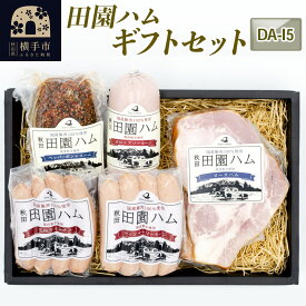 【ふるさと納税】田園ハム ギフトセット【DA-I5】