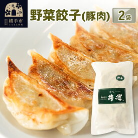 【ふるさと納税】野菜餃子（豚肉）12個入×2袋