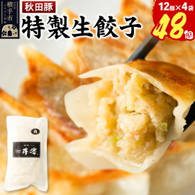 【ふるさと納税】小籠包のような肉餃子（豚肉使用）12個入×4袋