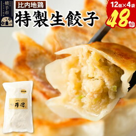 【ふるさと納税】比内地鶏餃子 12個入×4袋 [餃子 ぎょうざ ギョウザ お惣菜 冷凍 国産 鶏肉]