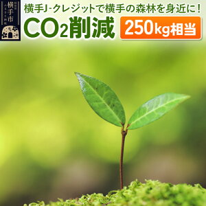yӂ邳Ɣ[ŁzJ]NWbgŉ̐Xтg߂! CO2팸 250kg