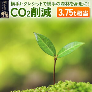 yӂ邳Ɣ[ŁzJ]NWbgŉ̐Xтg߂! CO2팸 3.75t