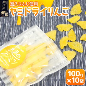 【ふるさと納税】セミドライりんご「太陽のフジミツ」100g×10袋 [ドライフルーツ 国産 リンゴ パック セット パーティ おつまみ パン ケーキ ベーグル ドライアップル 半生タイプ ヨーグルト 紅茶 シリアル トッピング 腸活]