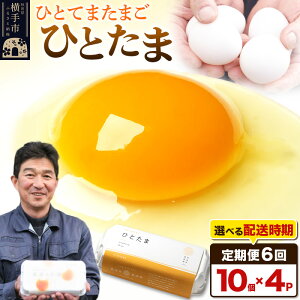 【ふるさと納税】【常温発送】《定期便6ヶ月》ひとたま 10個×4P【発送時期が選べる】東海林養鶏場 ひとたま 卵 玉子 たまご タマゴ6か月 6ヵ月 6カ月 6ケ月 卵 玉子 たまご 開始時期選べる