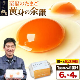 【ふるさと納税】【常温発送】黄身の余韻 6個×4P【発送時期が選べる】1回のみお届け 卵 玉子 たまご 配送時期選べる 東海林養鶏場 至福のたまご 黄身の余韻 タマゴ