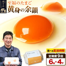 【ふるさと納税】【常温発送】《定期便9ヶ月》黄身の余韻 6個×4P【発送時期が選べる】9か月 9ヵ月 9カ月 9ケ月 卵 玉子 たまご 開始時期選べる 東海林養鶏場 至福のたまご 黄身の余韻 タマゴ