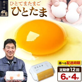 【ふるさと納税】【常温発送】《定期便12ヶ月》ひとたま 6個×4P【発送時期が選べる】東海林養鶏場 ひとたま 卵 玉子 たまご タマゴ 12か月 12ヵ月 12カ月 12ケ月 開始時期選べる [東海林養鶏場 ひとたま 卵 玉子 たまご タマゴ 12か月]