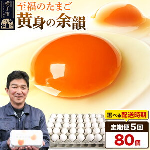 【ふるさと納税】【常温発送】《定期便5ヶ月》黄身の余韻 80個(業務用)【発送時期が選べる】東海林養鶏場 黄身の余韻 卵 玉子 たまご タマゴ 5か月 5ヵ月 5カ月 5ケ月 開始時期選べる