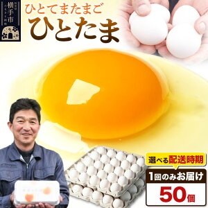 【ふるさと納税】【常温発送】ひとたま 50個(業務用)【発送時期が選べる】東海林養鶏場 ひとたま 卵 玉子 たまご タマゴ 配送時期選べる