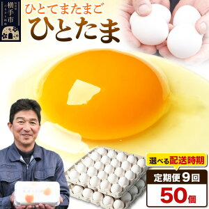 【ふるさと納税】【常温発送】《定期便9ヶ月》ひとたま 50個(業務用)【発送時期が選べる】東海林養鶏場 ひとたま 卵 玉子 たまご タマゴ 9か月 9ヵ月 9カ月 9ケ月 開始時期選べる