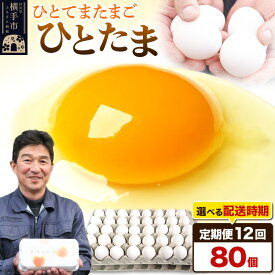 【ふるさと納税】【常温発送】《定期便12ヶ月》ひとたま 80個（業務用）【発送時期が選べる】東海林養鶏場 ひとたま 卵 玉子 たまご タマゴ 12か月 12ヵ月 12カ月 12ケ月 開始時期選べる