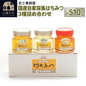 【ふるさと納税】国産自家採集はちみつ3種詰め合わせ（アカシア、トチ、りんご）計3本 510g