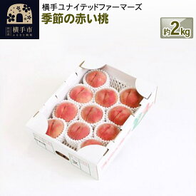 【ふるさと納税】季節の赤い桃 約2kg