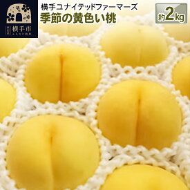 【ふるさと納税】季節の黄色い桃 約2kg