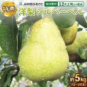 yӂ邳Ɣ[ŁzmiV(Vo[x) G 12ʁ`20(5kg)